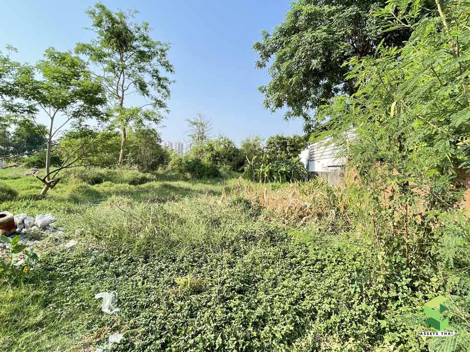 Land for Sale Tiwanon Pak Kret Road (Ngobpramarn) near IMPACT Arena Pak Kret Nonthaburi 