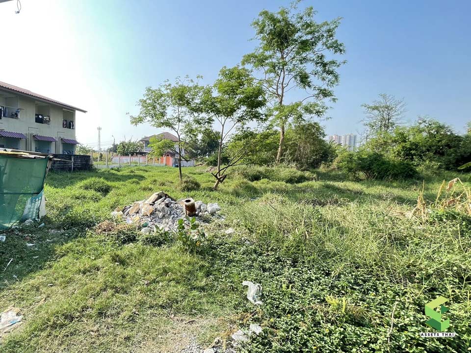 Land for Sale Tiwanon Pak Kret Road (Ngobpramarn) near IMPACT Arena Pak Kret Nonthaburi 