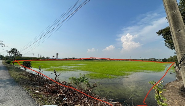 ขายที่ดิน หลังเซ็นทรัลศาลายา สามพราน นครปฐม ติดถนนใหญ่