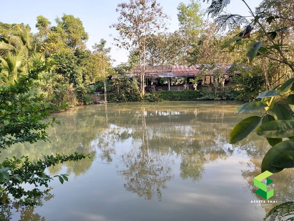 ​ขายบ้านจังหวัดแพร่ อำเภอเด่นชัย ปงป่าหวาย สวนเกษตร พร้อมที่นาและสวน 